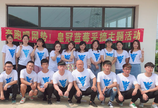 【奔跑吧網(wǎng)勢(shì)！】藍(lán)莓采摘主題團(tuán)建活動(dòng)